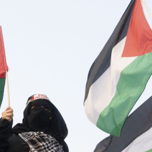 Belgia va recunoaște statul palestinian în două etape, anunță ministrul afacerilor externe