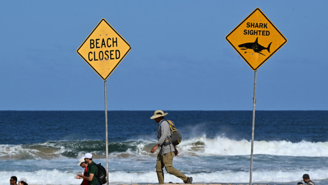 Atac de rechin în Sydney: un surfer decedat și închiderea plajelor din Australia