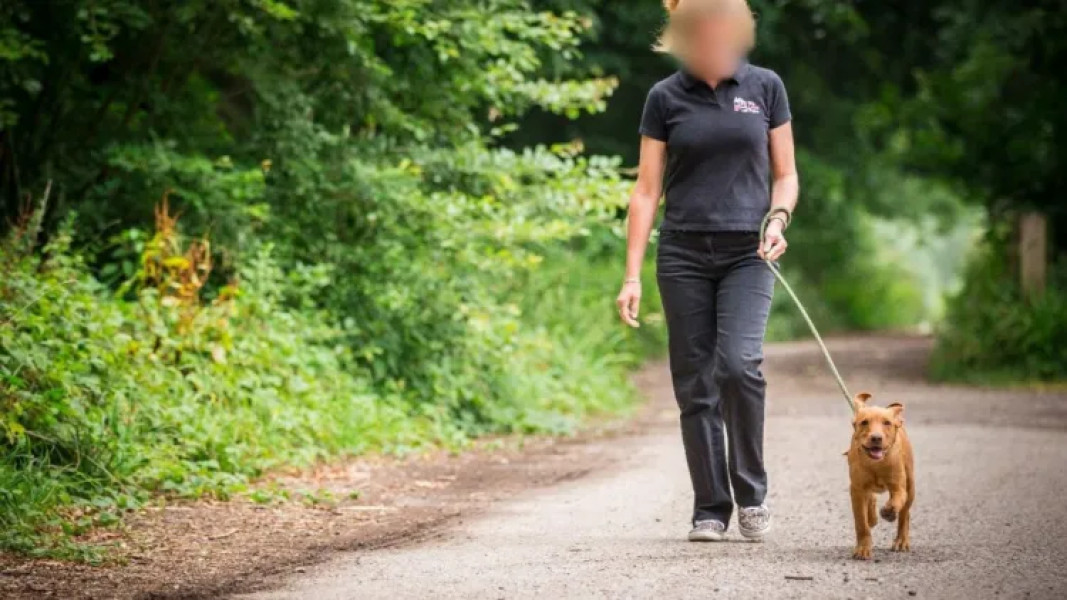 Scandal într-un parc din Cluj: O femeie și-a lăsat câinele să își facă nevoile în nisipul copiilor și a râs în fața celui care i-a atras atenția