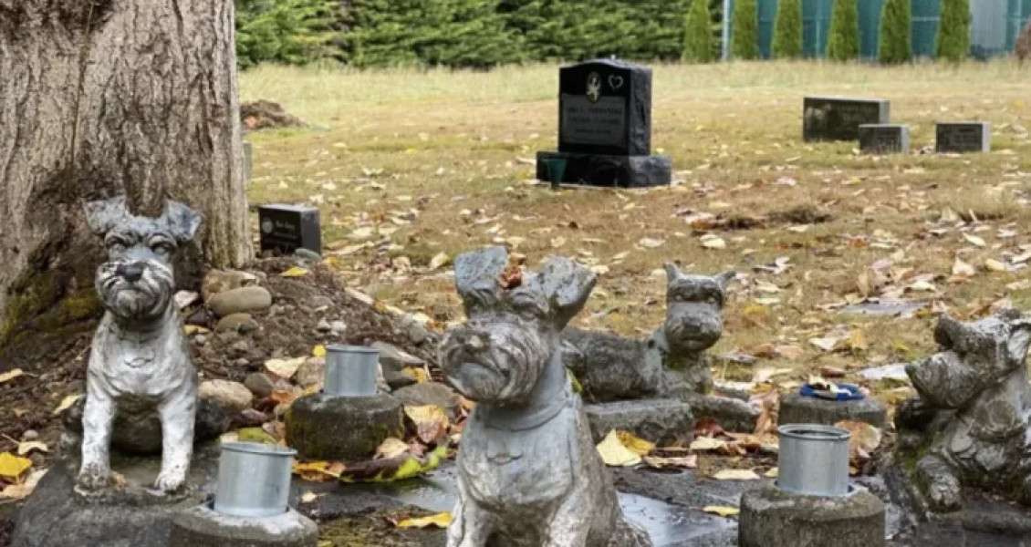 Primăria Cluj-Napoca aprobă planul urbanistic zonal pentru cimitirul dedicat animalelor de companie