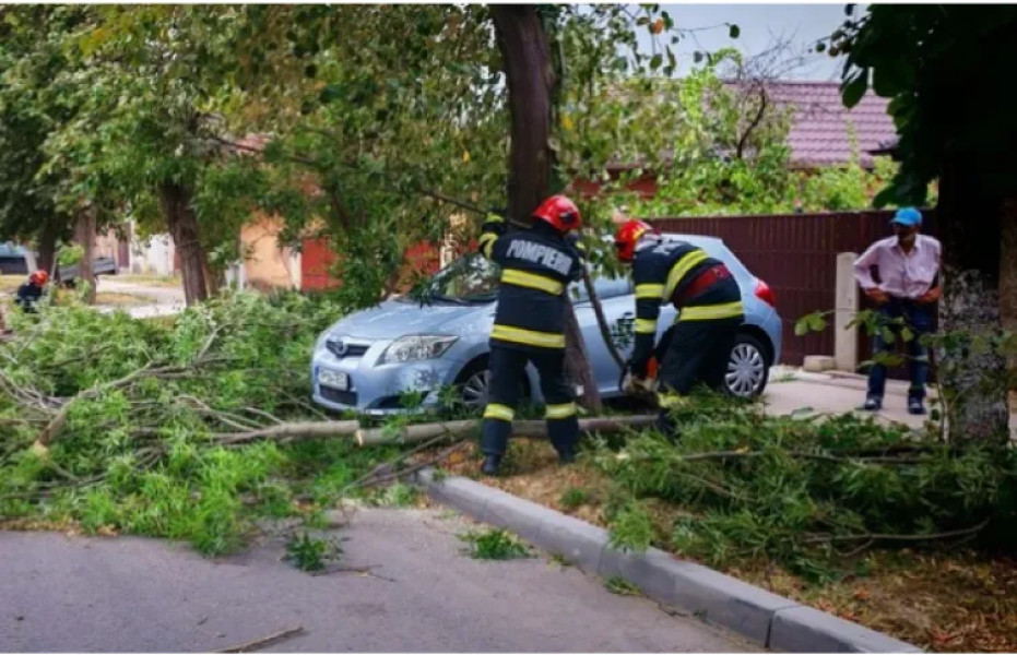 Un trotuar din Cluj-Napoca este blocat de copaci și trotinete. Elevii, obligați să iasă pe carosabil