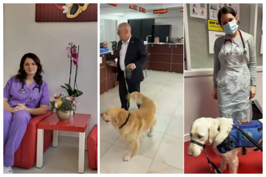 Dr. Monica Burlacu susține inițiativa „pet friendly” a Primăriei Cluj-Napoca după experiența medicală din Irlanda