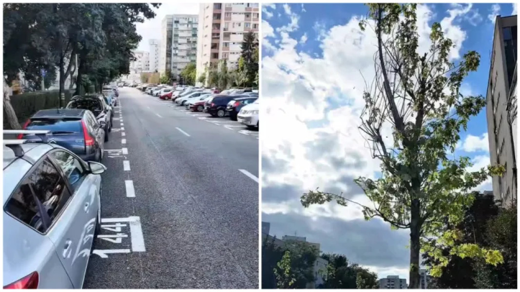 Cartierul de pe strada Bucegi din Cluj-Napoca primește noi locuri de parcare