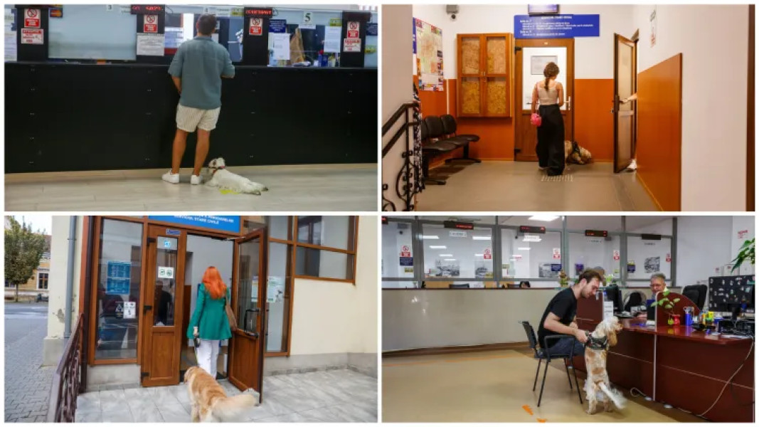 Clujenii pot intra cu animalele de companie în sediile Primăriei și instituții publice