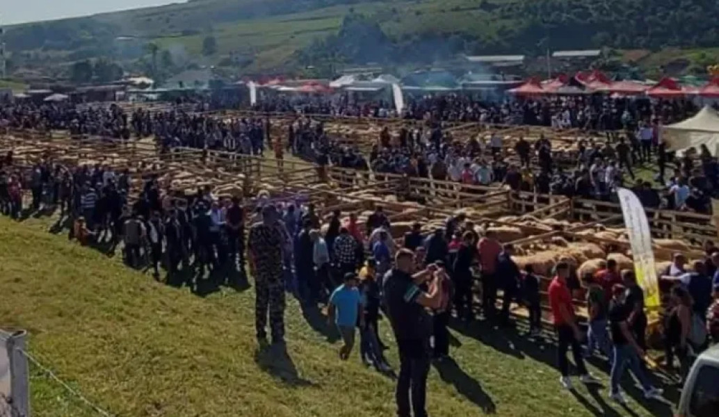Expoziția de animale de la Frata, reprogramată din cauza pestei porcine africane
