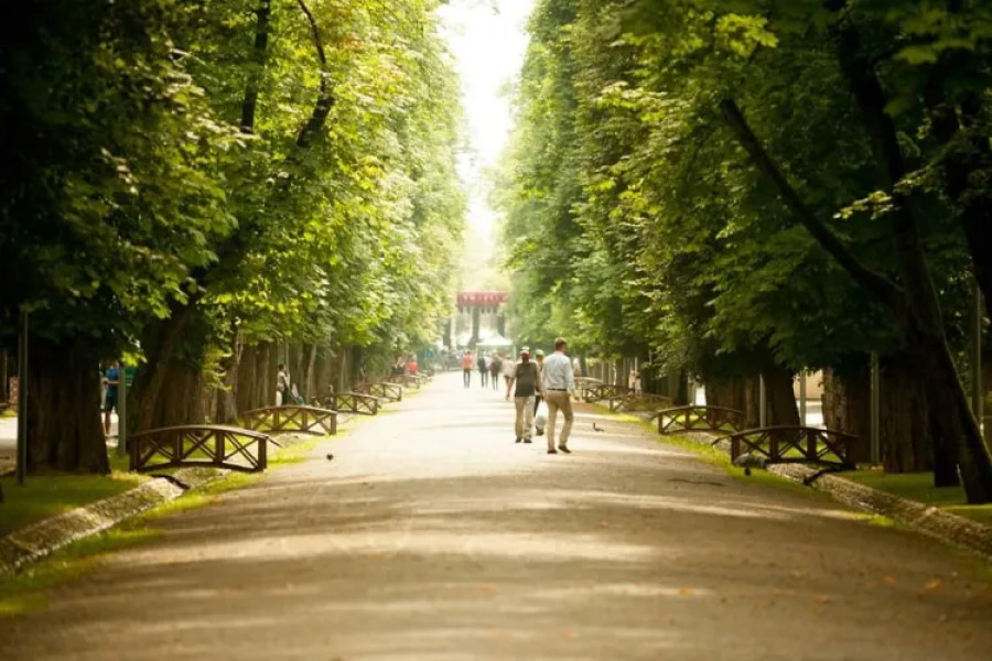 Parcul Central „Simion Bărnuțiu” din Cluj-Napoca se pregătește pentru bicentenar fără bustul revoluționarului