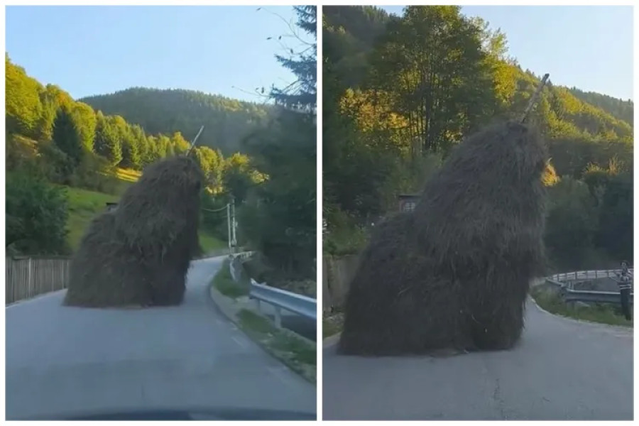 Căpiță de fân rotundă surprinsă pe un drum de munte din Cluj