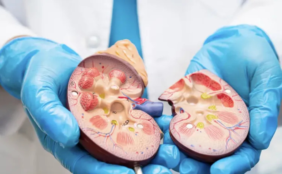 ICUTR Cluj-Napoca realizează transplanturi renale pediatrice și planifică un centru modern