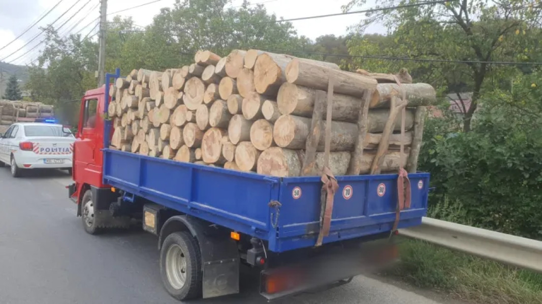 Poliția din Dej a confiscat peste 4,5 metri cubi de lemn în controale împotriva comerțului ilegal