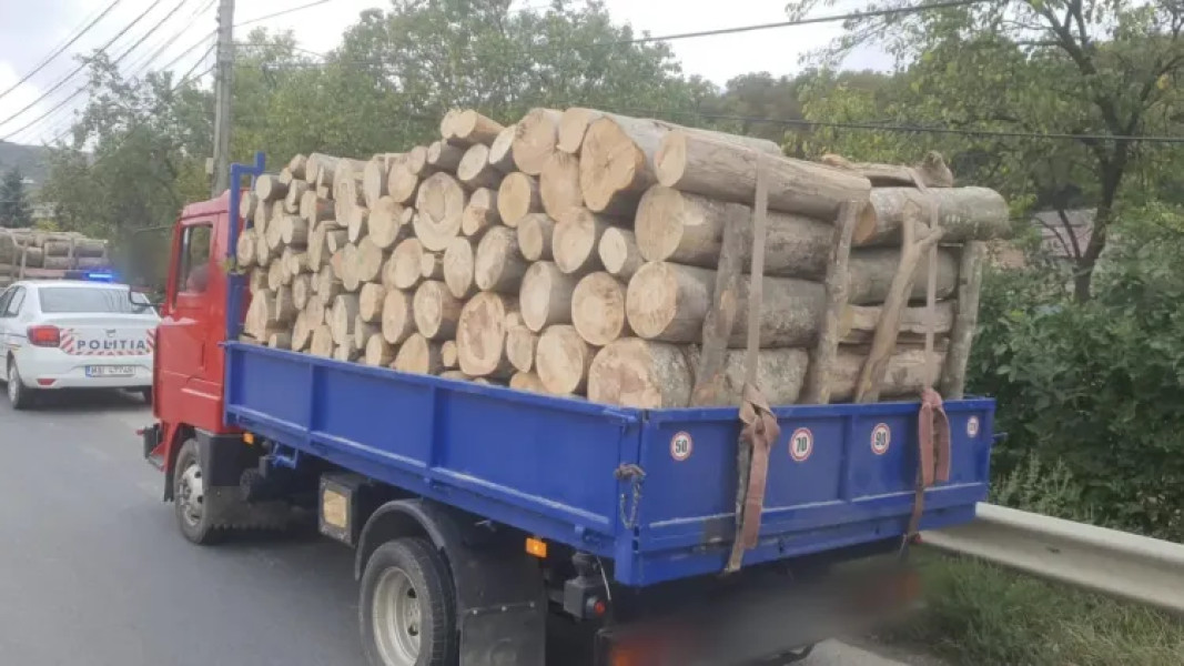 Bărbat din Cluj-Napoca prins transportând ilegal lemn în Ciurila