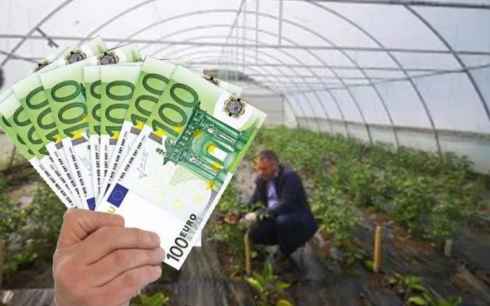 UE alocă 11,5 milioane euro pentru fermierii români afectați de înghețuri și fenomene meteo extreme