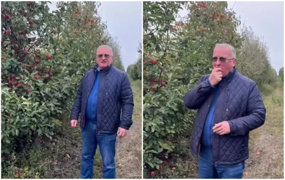Deputatul Remus Lăpușan promovează merele din Câmpenești în cadrul unui turneu județean