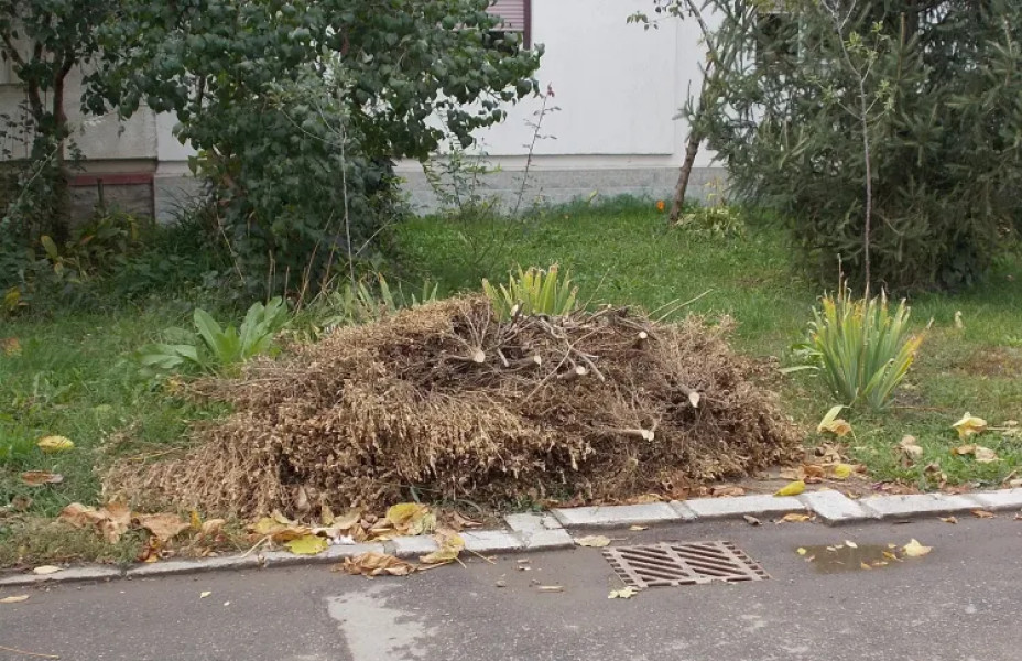 Campanie gratuită de colectare a deșeurilor vegetale în Cluj-Napoca pe durata lunii octombrie