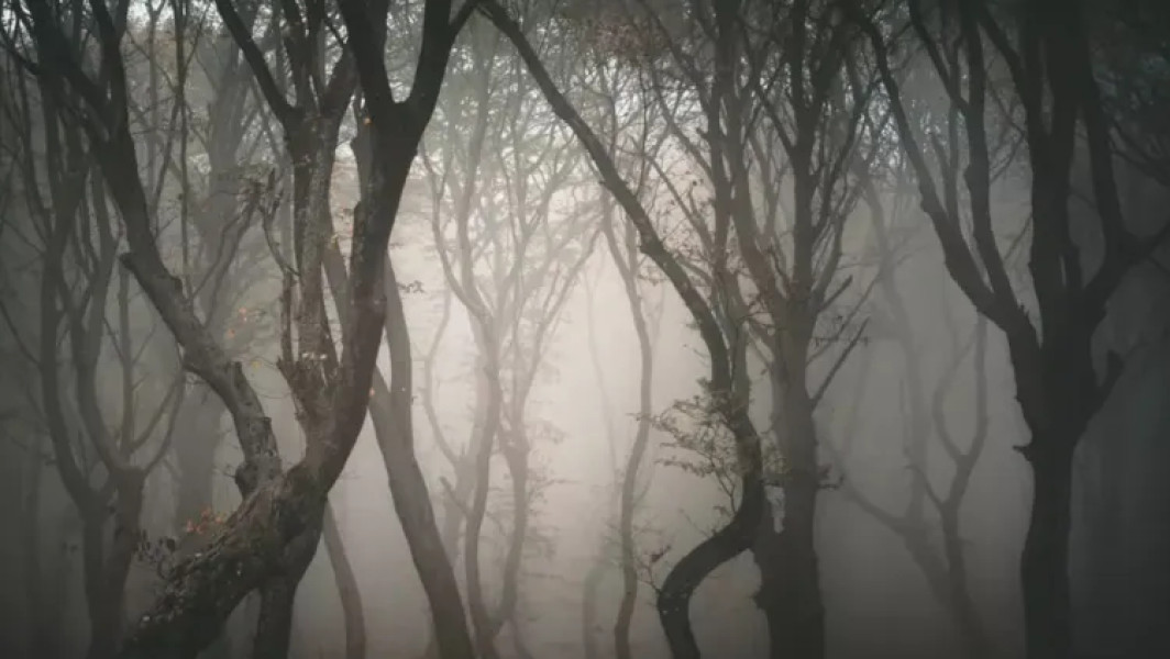 România lider european în topul destinațiilor de Halloween