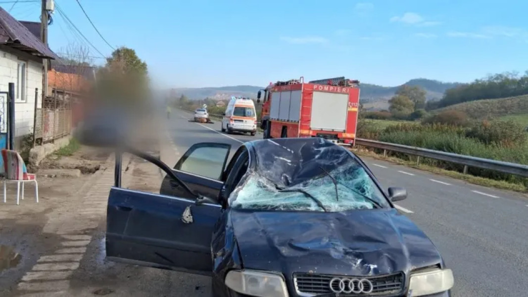 Accident cu căruță și mașină pe DN1F în Sânpaul: un rănit și un cal eutanasiat