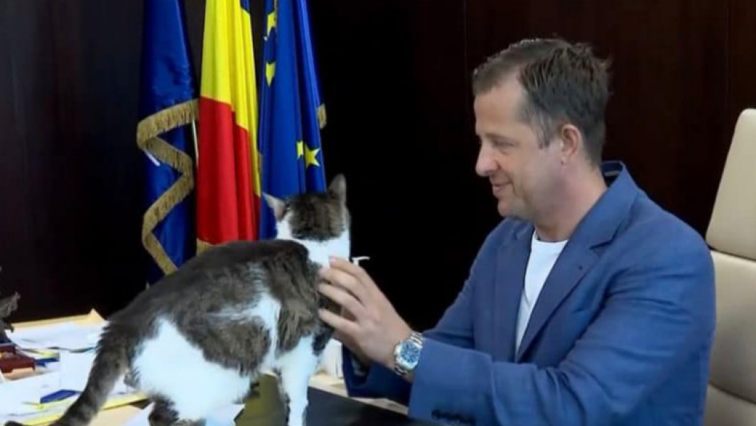 Șeful CJ Ilfov condenă propunerea de eutanasiere a pisicilor fără stăpân și promite să lupte împotriva acestui proiect de lege. Soluția este sterilizarea și înregistrarea lor într-un registrul special.