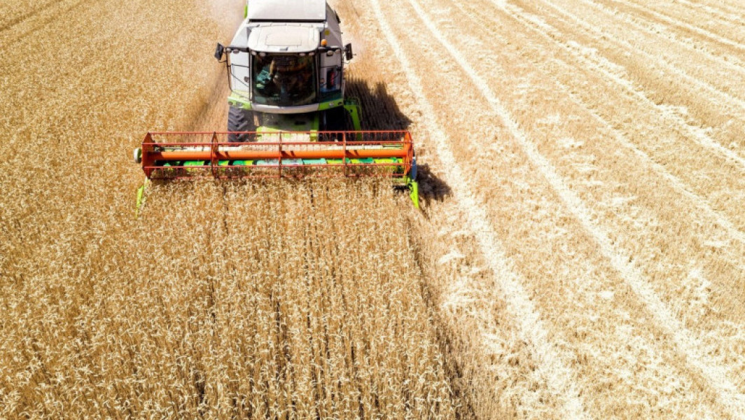 România a înregistrat o scădere a exporturilor de cereale cu 4,1% în anul trecut, conform INS.
