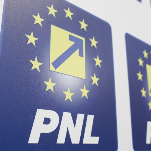 PNL aprobă alianța electorală cu PSD și fuziunea cu ALDE pentru alegerile europarlamentare în cadrul ședinței online a Consiliului Politic Național