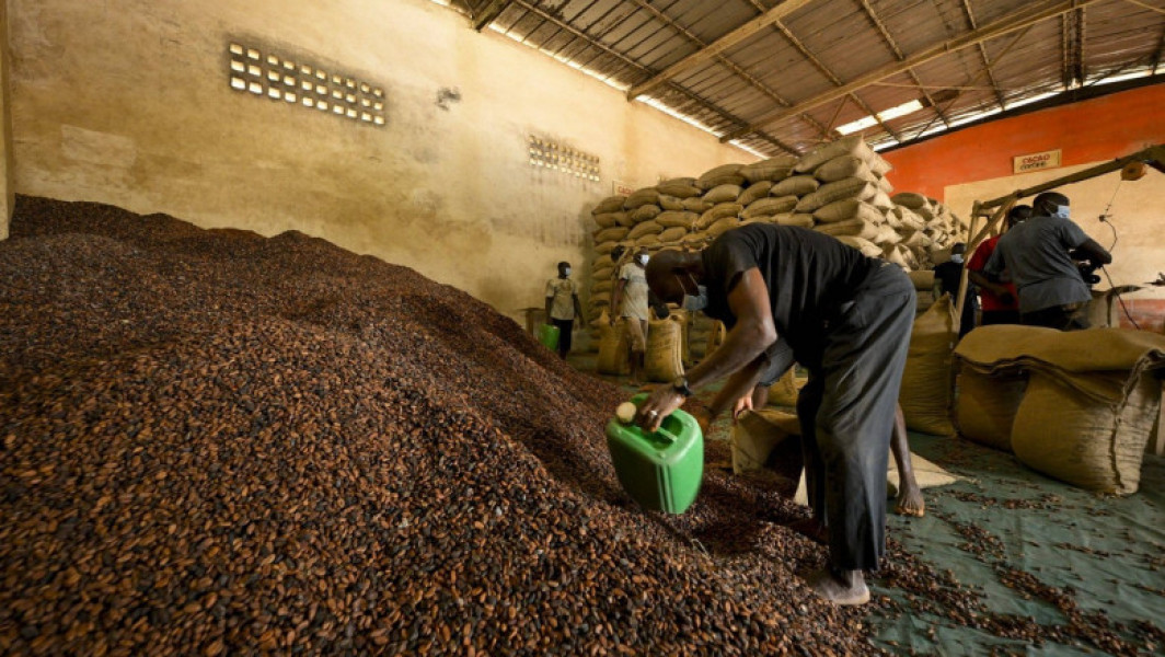 Record pentru cotațiile la cacao, prețul a atins 10.000 de dolari/tonă