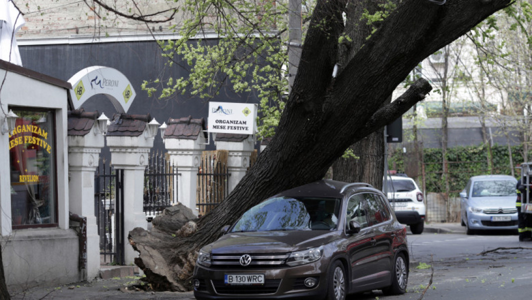 Nicușor Dan, despre pagubele din Capitală: O problemă în toate oraşele, copaci periculoși și riscuri anticipate