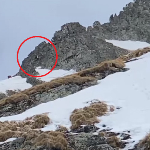Salvamontiștii au intervenit pentru a salva un turist străin în munții Făgăraș