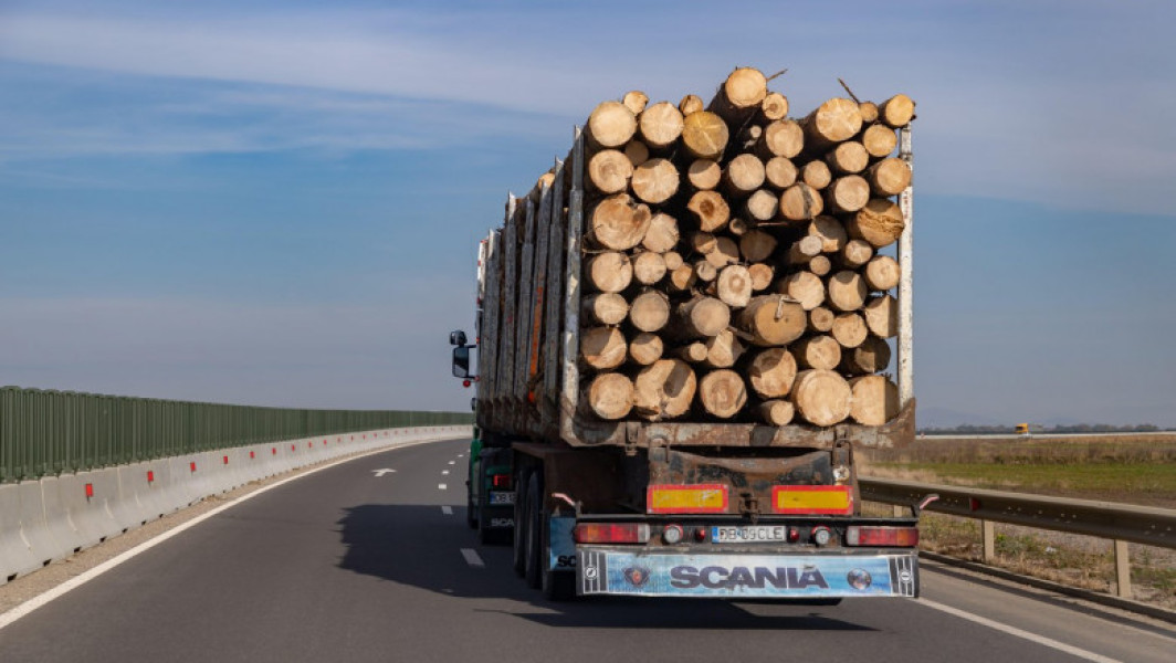 Metoda hoților de lemn de a înșela sistemul SUMAL pentru defrișări ilegale, descoperite prin inteligența artificială