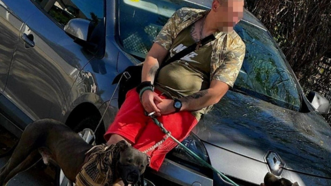 Bărbat prins în flagrant cu droguri și câini periculoși în apropiere de un liceu din Iași