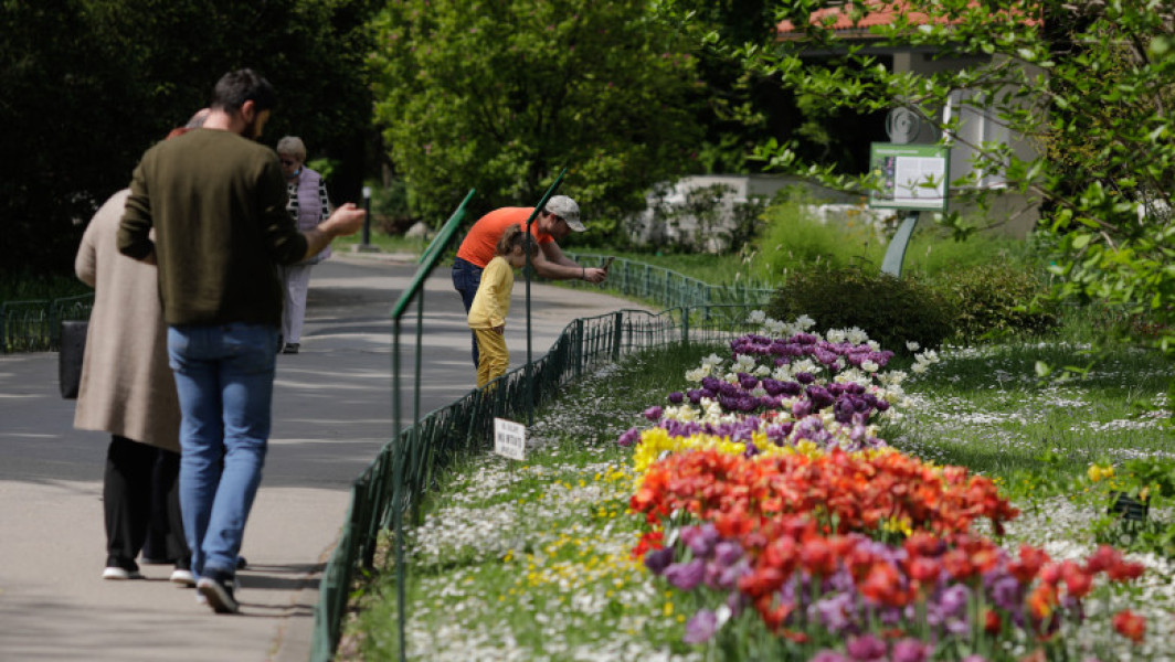 Prognoze meteo pentru următoarele patru săptămâni: când cresc temperaturile și când se încheie ploile