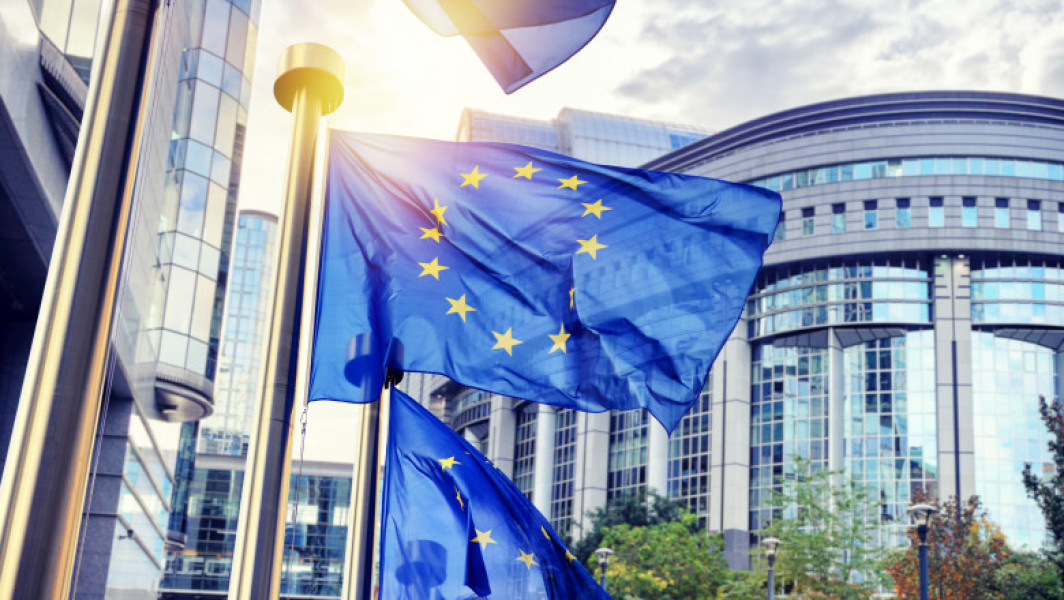 Strănepotul lui Napoleon I va candida la alegerile europene pe lista suveranistă