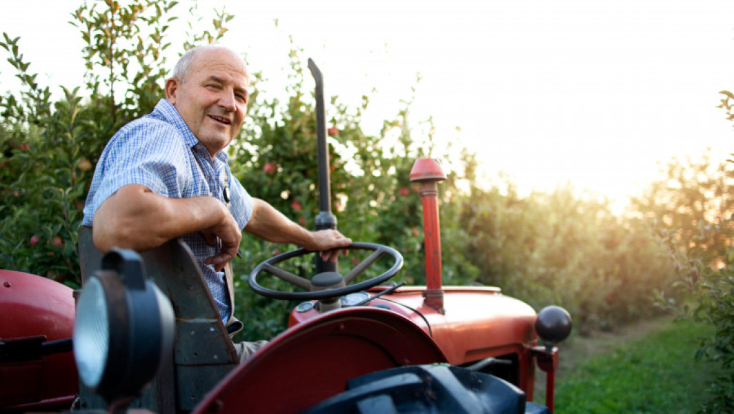 Eurodeputații au revizuit politica agricolă. Fermele mici, exceptate de la controale şi sancţiuni pentru nerespectarea unor norme