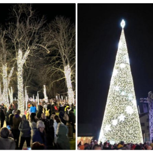 Puya va cânta la Târgul de Crăciun din Florești, alături de alți artiști. Primarul Bogdan Pivariu a anunțat deschiderea evenimentelor din Winter Dream Florești, care va avea loc în Parcul Poligon.