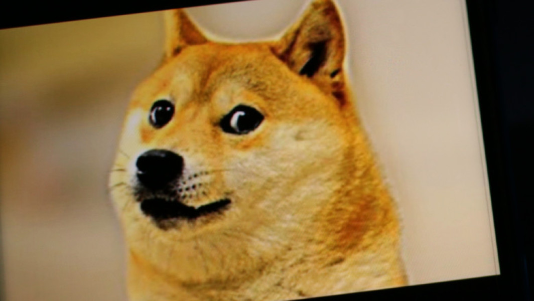 Titlu de știri: "Câinele inspirației "Dogecoin", Kabosu, a plecat din lumea noastră în Japonia