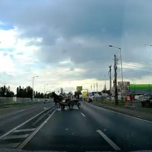 Clujeanul care conducea cu căruța în față la Metro Cluj a cauzat haos pe drumul european! VIDEO