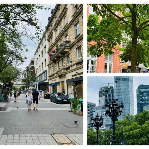 Frankfurt pe Main îmbină naturalețea cu urbanismul